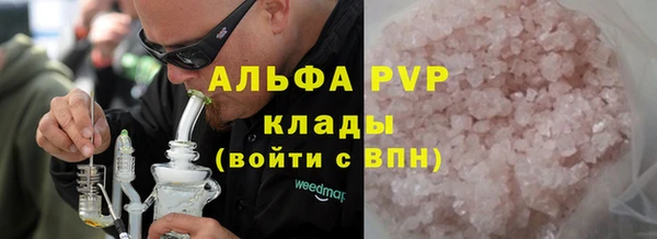 гашик Осинники