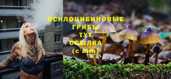 спиды Богородск