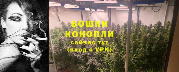 спиды Богородск