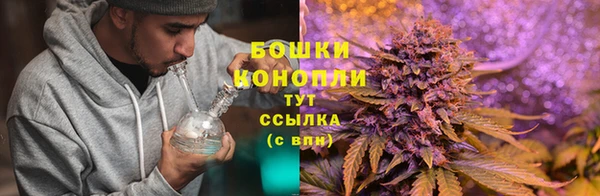 герыч Бронницы