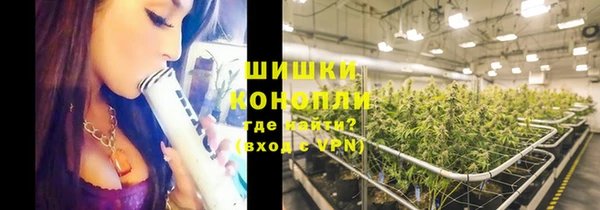 ПСИЛОЦИБИНОВЫЕ ГРИБЫ Остров